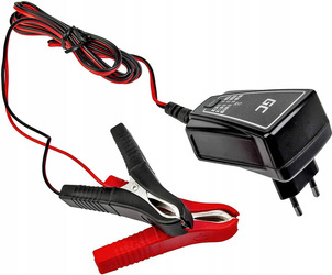 Automatyczna ładowarka, prostownik Green Cell do akumulatorów 6V / 12V (1A)